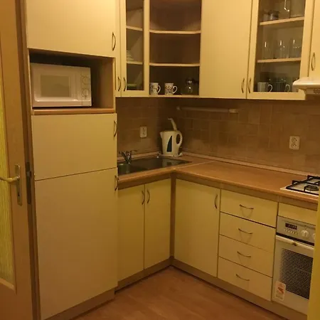 Apartment In The Centr *